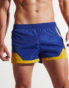 swimwear Men's Shorts Swim Trunks Quick Dry Beach